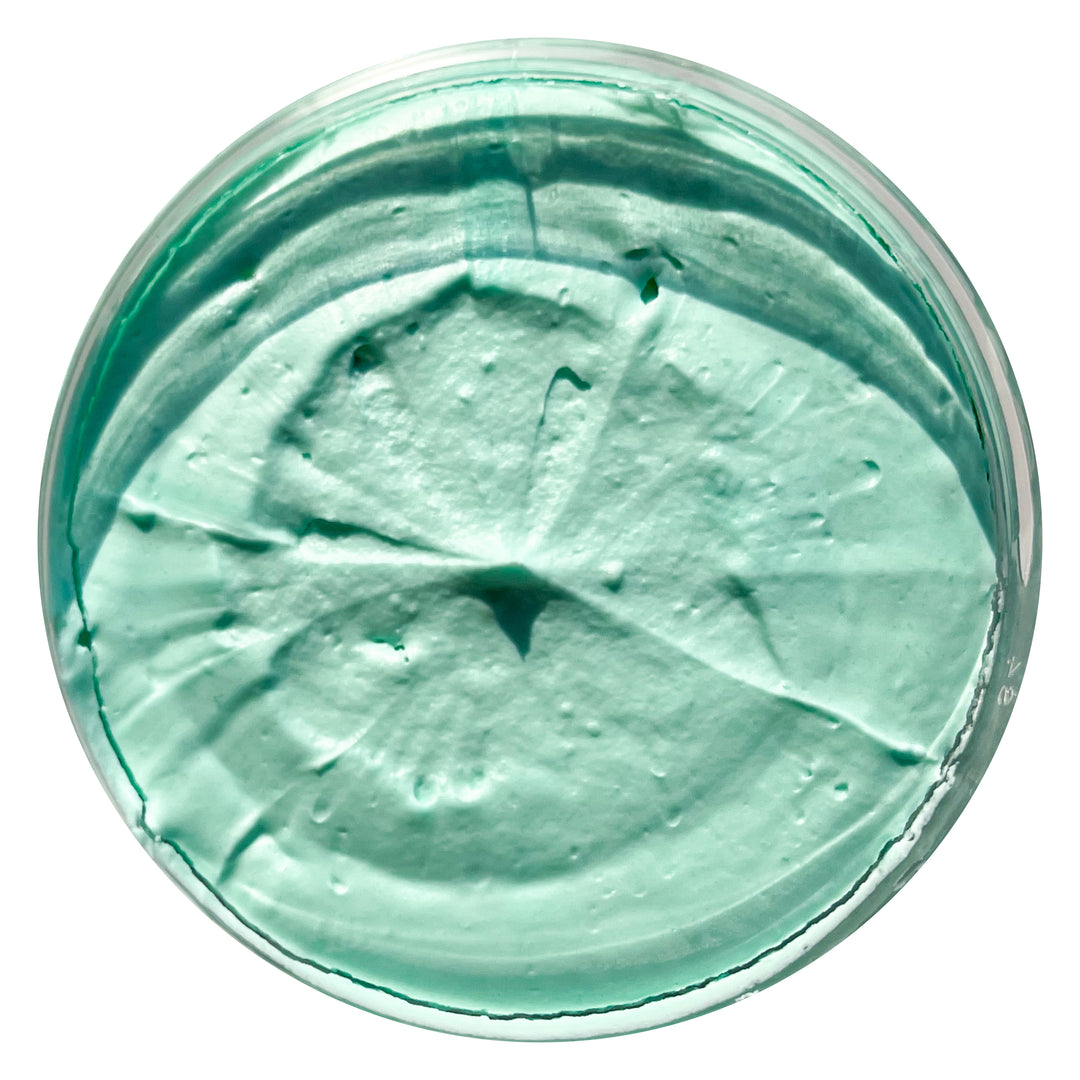 mint choc chip SHOWER MOOSE BODY WASH